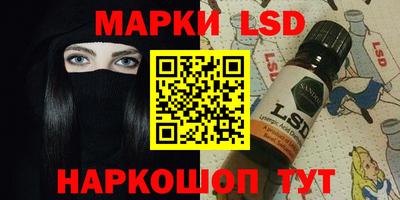 spice Гатчина